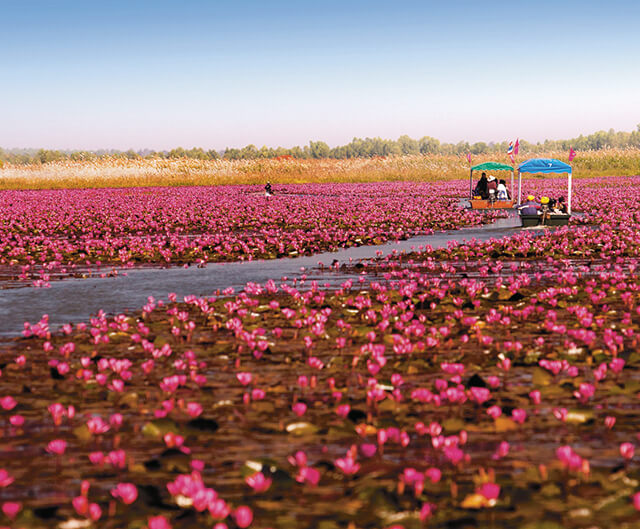 lac thailande