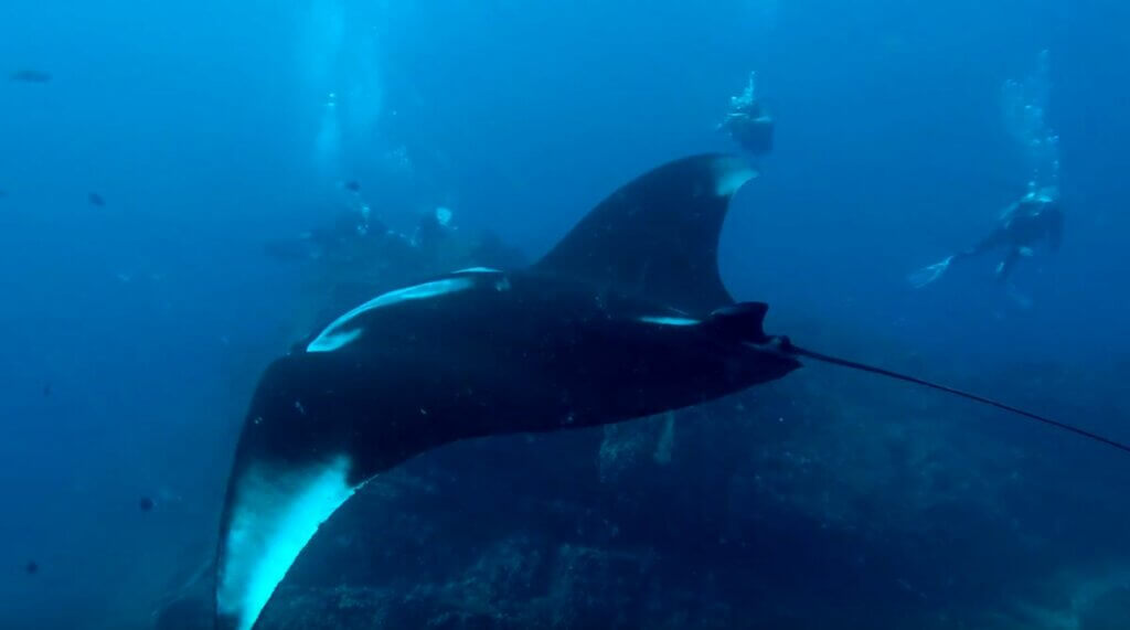 Similan Islands